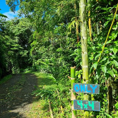 Vulkan Arenal Amazing View Lodge 4 Wd El Castillo Extérieur photo