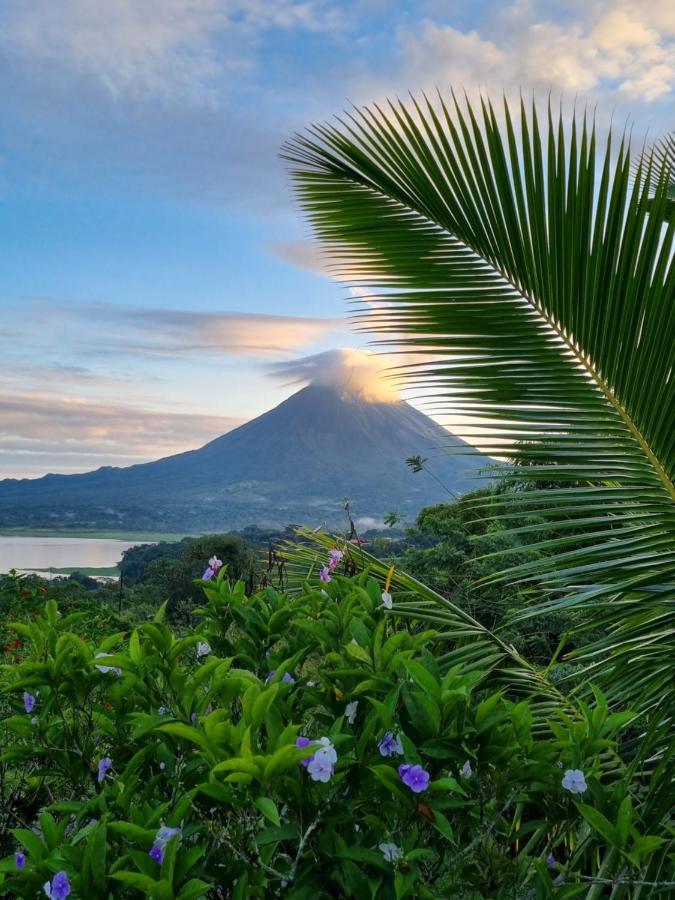 Vulkan Arenal Amazing View Lodge 4 Wd El Castillo Extérieur photo