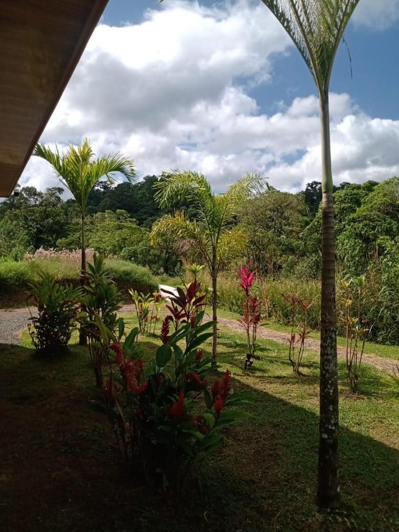 Vulkan Arenal Amazing View Lodge 4 Wd El Castillo Extérieur photo